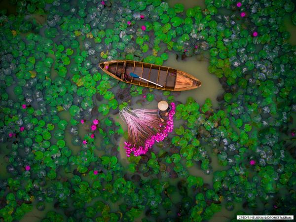 Hey Down There! Highlights of the International Drone Photography Contest 2017 - Sputnik International