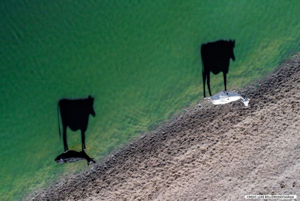 Hey Down There! Highlights of the International Drone Photography Contest 2017 - Sputnik International