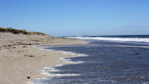 A barren sea shore - Sputnik International