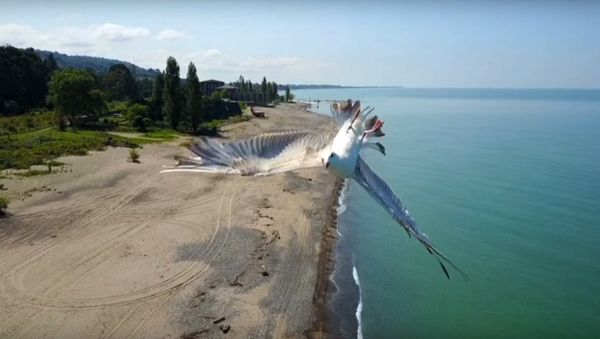 Mavic Pro vs Seagull - Sputnik International