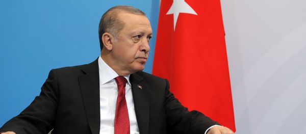 President of Turkey Recep Tayyip Erdogan during a meeting with Russian President Vladimir Putin on the sidelines of the G20 summit in Hamburg - Sputnik International