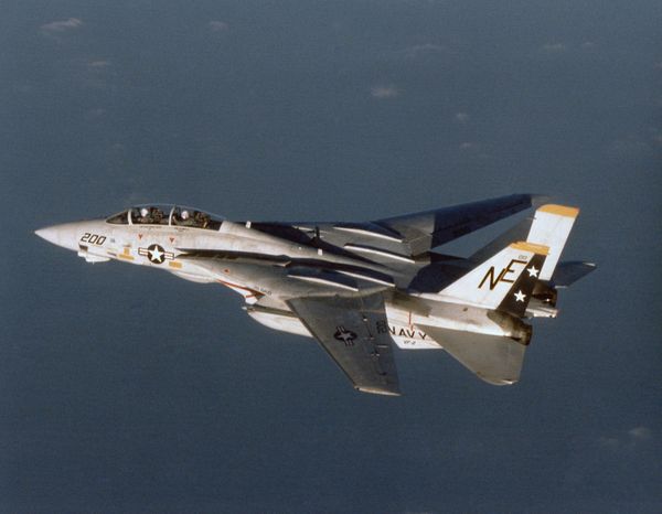 Recipe for Success: How Iran’s F-14 Tomcats Stay Relevant - Sputnik International