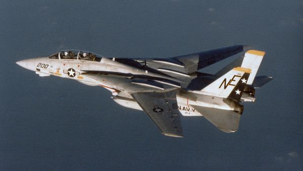US Air Force F-14A Tomcat - Sputnik International