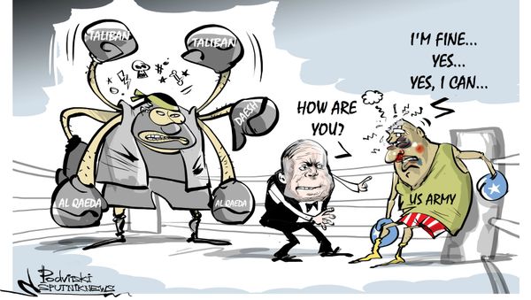 Stubborn as a Mule Stubborn as a Mule - Sputnik International