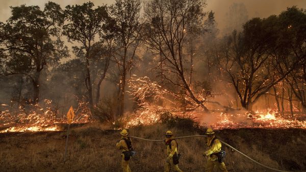 Firefighters battle a wildfire as it threatens to jump a street near Oroville, Calif., on Saturday, July 8, 2017. Evening winds drove the fire through several neighborhoods leveling homes in its path. - Sputnik International