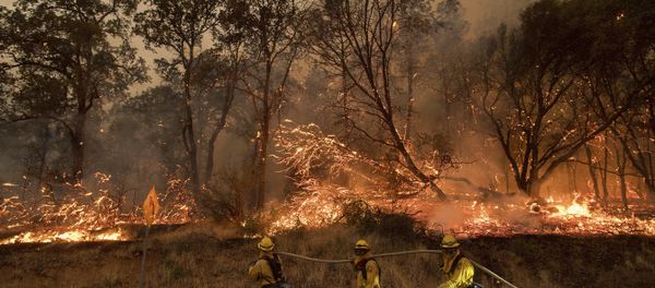 Firefighters battle a wildfire as it threatens to jump a street near Oroville, Calif., on Saturday, July 8, 2017. Evening winds drove the fire through several neighborhoods leveling homes in its path. - Sputnik International