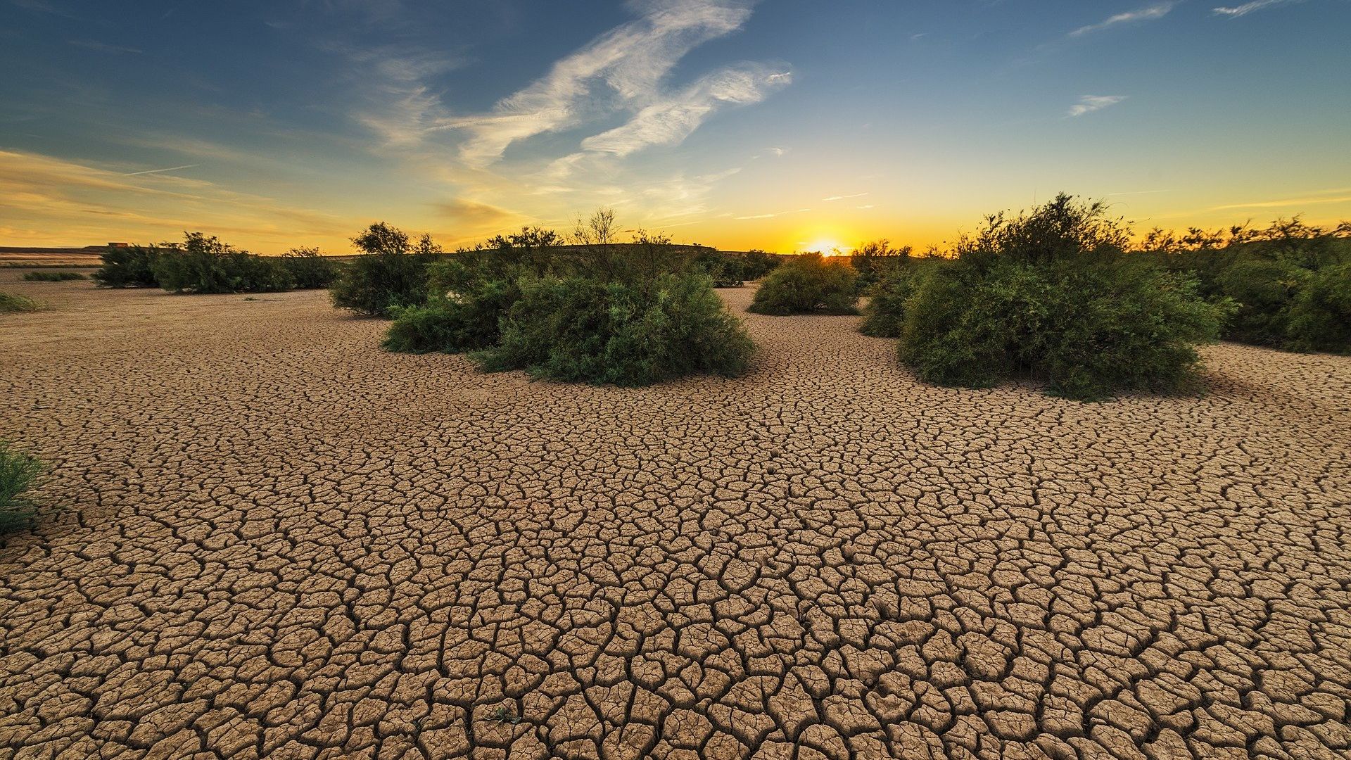 Drought Drought - Sputnik International, 1920, 02.02.2022