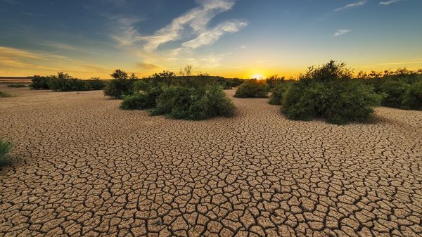 Drought - Sputnik International