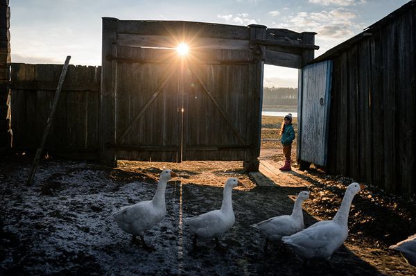Cast Your Vote: Stenin Int'l Photo Contest Releases Online Poll Short-List Cast Your Vote: Stenin Int'l Photo Contest Releases Online Poll Short-List - Sputnik International