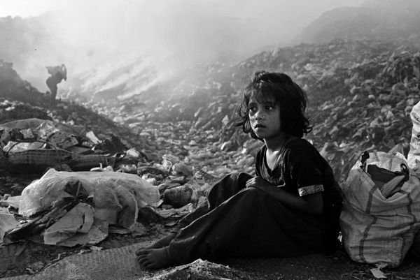 Cast Your Vote: Stenin Int'l Photo Contest Releases Online Poll Short-List Cast Your Vote: Stenin Int'l Photo Contest Releases Online Poll Short-List - Sputnik International