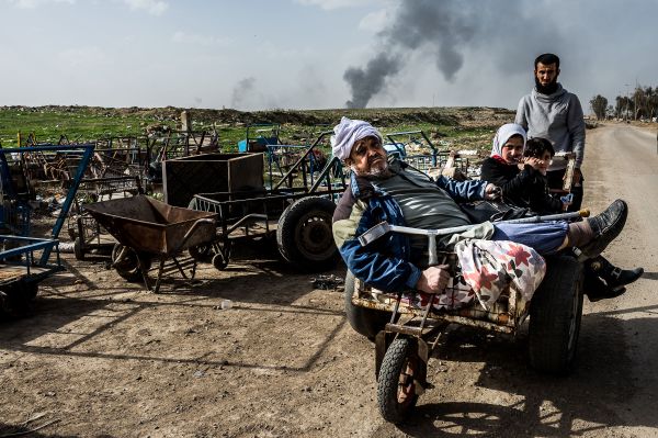 Cast Your Vote: Stenin Int'l Photo Contest Releases Online Poll Short-List Cast Your Vote: Stenin Int'l Photo Contest Releases Online Poll Short-List - Sputnik International