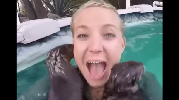 Otters Start to Swim - Sputnik International