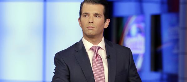 In this July 11, 2017, photo, Donald Trump Jr. is interviewed by host Sean Hannity on the Fox News Channel television program - Sputnik International