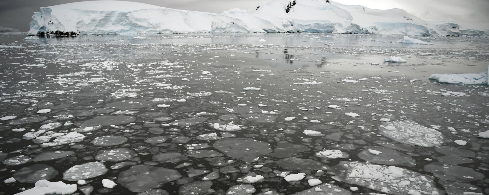 Ледяные поплавки на поверхности моря у Антарктического полуострова Ледяные поплавки на поверхности моря у Антарктического полуострова - Sputnik International, 1920, 25.10.2023