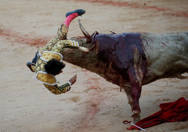This Week in Pictures This Week in Pictures - Sputnik International