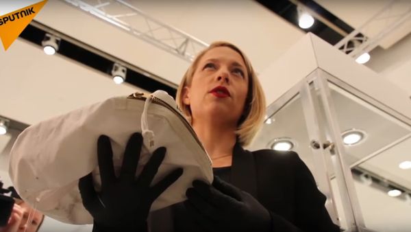 Neil Armstrong's Moon Dust Bag For Sale - Sputnik International