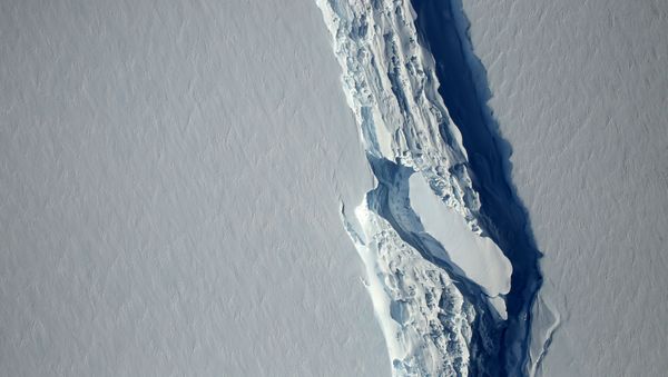 An aerial view of the rift in the Larsen C seen in an image from the Digital Mapping System over the Antarctica Peninsula, Antarctica, on November 10, 2016 - Sputnik International