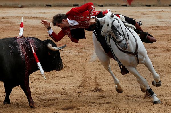 Running With the Bulls in Pamplona: The Festival of San Fermin - Sputnik International