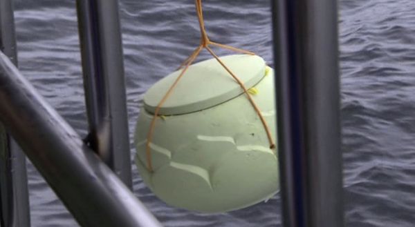 In this image taken from video provided by the Shenyang Municipal Information Office, an urn containing the ashes of imprisoned Chinese Nobel Peace Prize laureate Liu Xiaobo is lowered into the sea off the coast of Dalian in northeastern China's Liaoning Province, Saturday, July 15, 2017 - Sputnik International
