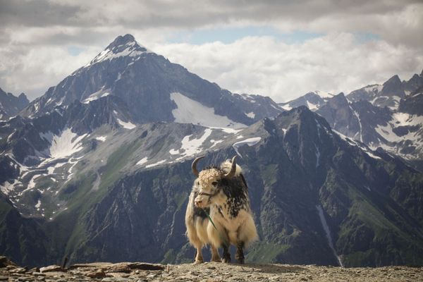 The Majestic Beauty of Dombay Mountain Resort - Sputnik International