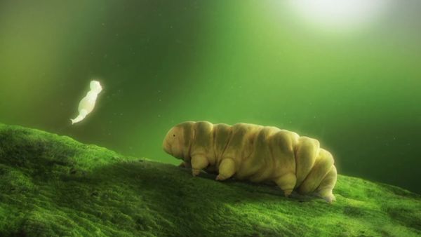 Tardigrade - Sputnik International