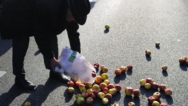 Polish farmers and horticulturists protest in Warsaw - Sputnik International