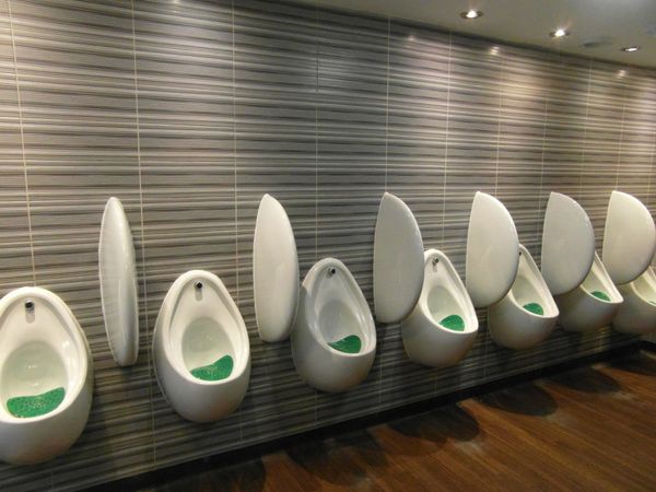 Dump it for Science: 'Smart Toilet' Developed in UK May Save People From Cancer and Kidney Failure Dump it for Science: 'Smart Toilet' Developed in UK May Save People From Cancer and Kidney Failure - Sputnik International