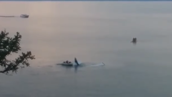 A Cessna 172R plummeted into Lake Baikal, July 18 2017. - Sputnik International