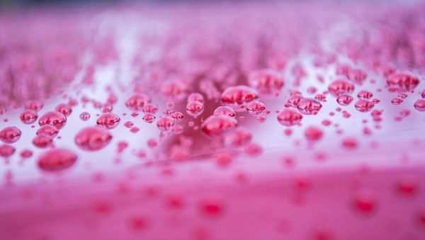 Blood rain - Sputnik International