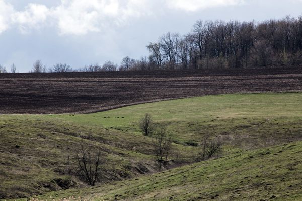 Black soil of Ukraine - Sputnik International
