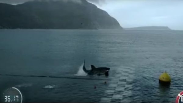 Michael Phelps VS Great White Shark Full Race - Sputnik International