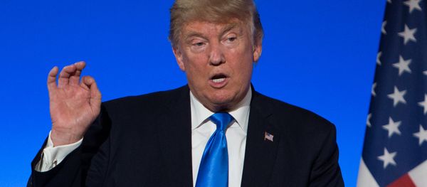 US President Donald Trump (File) US President Donald Trump (File) - Sputnik International