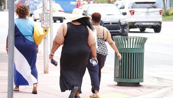 Overweight women - Sputnik International