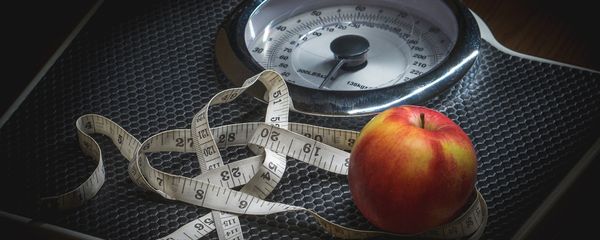 Weight - Sputnik International
