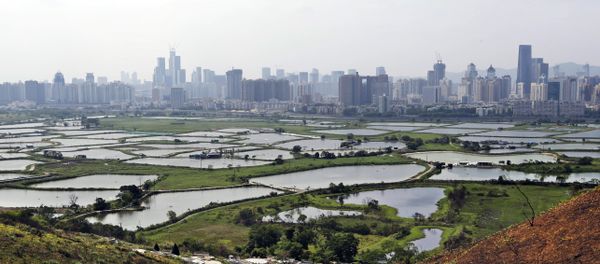 In this April 10, 2014 photo, the southern Chinese megacity of Shenzhen is visible from the hills of Hong Kong, the former British colony next door. In this April 10, 2014 photo, the southern Chinese megacity of Shenzhen is visible from the hills of Hong Kong, the former British colony next door. - Sputnik International