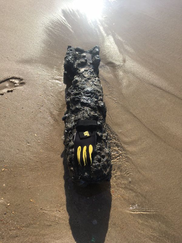 First Unexploded World War II Bomb Found Along North Carolina July 14 First Unexploded World War II Bomb Found Along North Carolina July 14 - Sputnik International