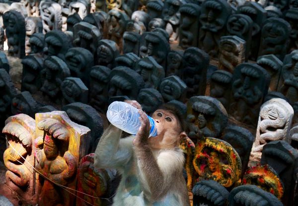This Week in Pictures This Week in Pictures - Sputnik International