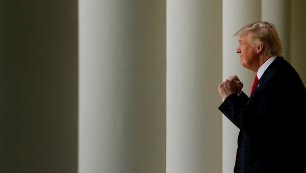 U.S. President Donald Trump departs after his remarks to the American Legion Boys Nation and Auxiliary Girls Nation in the Rose Garden at the White House, U.S. July 26, 2017. - Sputnik International