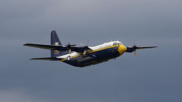 C-130T Aircraft. (File) - Sputnik International