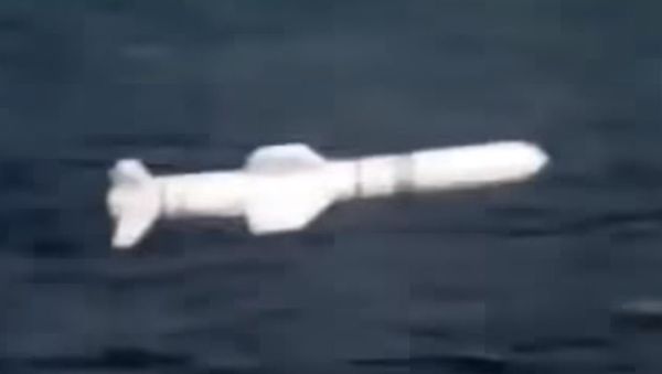 Chinese Sea Skimmer Drone and Missile Chinese Sea Skimmer Drone and Missile - Sputnik International