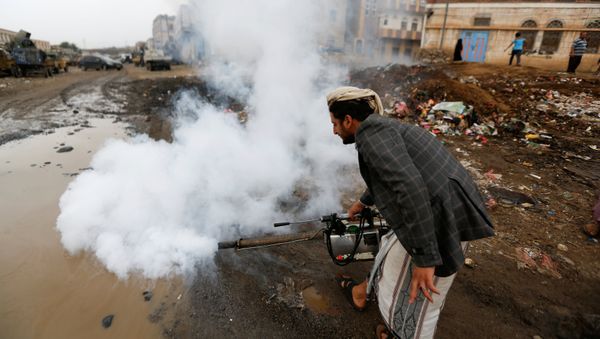 A public health worker sprays insecticide, amid a cholera outbreak, in Sanaa, Yemen, July 26, 2017. - Sputnik International