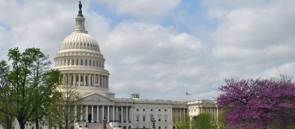 US Capitol US Capitol - Sputnik International