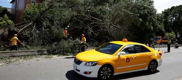 A taxi drives among trees uprooted by strong winds brought by Typhoon Nesat in Taipei, Taiwan July 30, 2017 A taxi drives among trees uprooted by strong winds brought by Typhoon Nesat in Taipei, Taiwan July 30, 2017 - Sputnik International