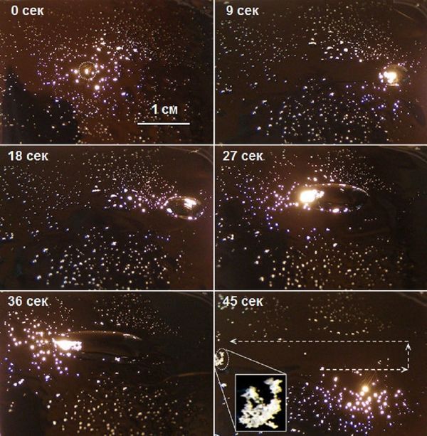 Photos demonstrating the process of trapping and moving several dozen polyethylene particles 150 μm along a glass surface. The starting and final positions of the light beam are indicated by the dotted circle and the ellipse (together with the collected particles). Arrows indicate the trajectory of the droplet's movement. Time indications are 0, 9, 18, 27, 36 adn 45 seconds, respectively. Photos demonstrating the process of trapping and moving several dozen polyethylene particles 150 μm along a glass surface. The starting and final positions of the light beam are indicated by the dotted circle and the ellipse (together with the collected particles). Arrows indicate the trajectory of the droplet's movement. Time indications are 0, 9, 18, 27, 36 adn 45 seconds, respectively. - Sputnik International