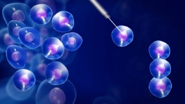 Optical tweezers being used to manipulate micro particles - Sputnik International