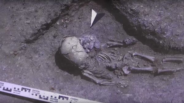 Mysterious 1,5-Year-Old Boy's Skeleton Found In Crimea - Sputnik International