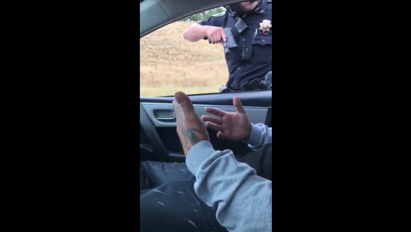 California Cop Draws Gun During Traffic Stop - Sputnik International
