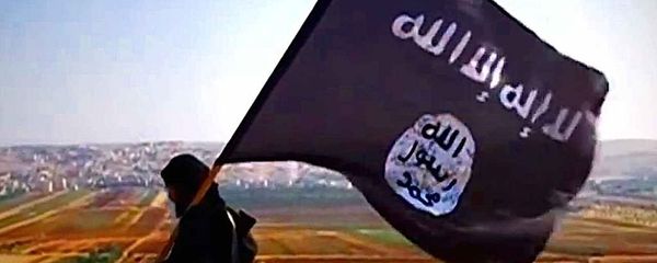 Daesh fighter - Sputnik International