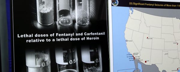 Posters comparing lethal amounts of heroin, fentanyl, and carfentanil, are on display during a news conference about the dangers of fentanyl, at DEA Headquarters in Arlington, Tuesday, June 6, 2017. - Sputnik International