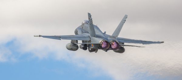 Spanish Hornet Spanish Hornet - Sputnik International